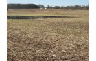 Property photo 41 - 110+/- Acres offered in 4 Tillable Tracts